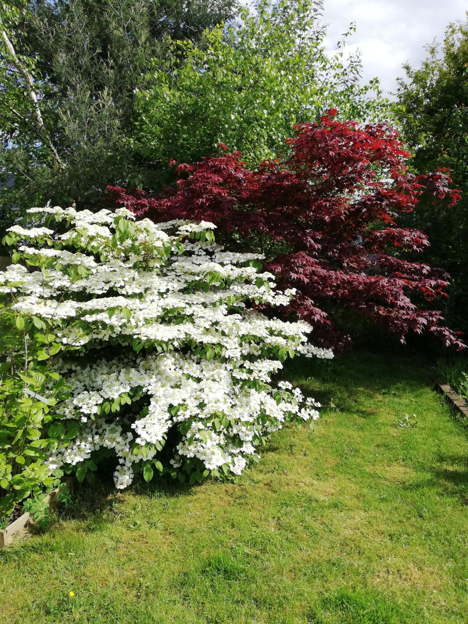 Вилла Au Coeur Du Jardin La Boussac Экстерьер фото